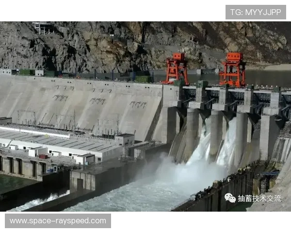 西部最大抽水蓄能电站青海哇让工程正式开工助力清洁能源发展